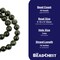 The Bead Chest Round Dark Green Nephrite Jade Beads 10mm Gemstone 16 Inch Strand